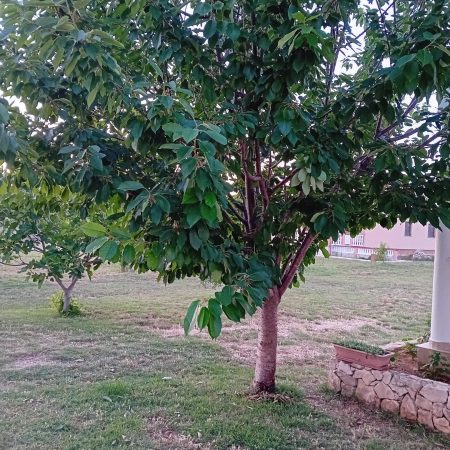 Ferienwohnung Kroatien Zadar