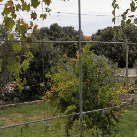 Ferienwohnung Kroatien Zadar