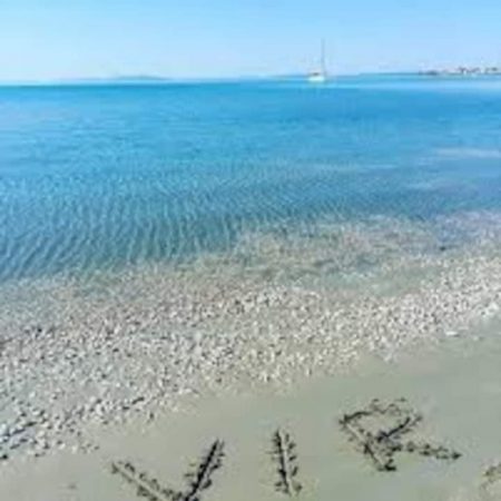Ferienwohnung Kroatien Zadar