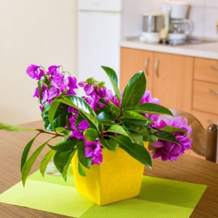 Ferienwohnung Kroatien Zadar