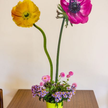 Ferienwohnung Kroatien Zadar